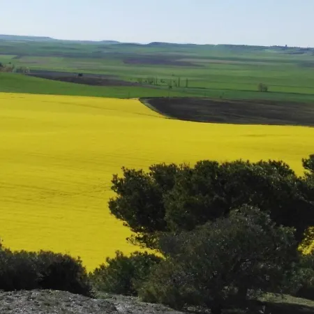 公寓 La Aldea Colorada Mota del Marqués