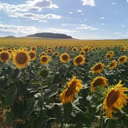 公寓 La Aldea Colorada