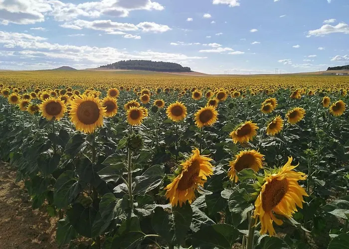 Apartman La Aldea Colorada